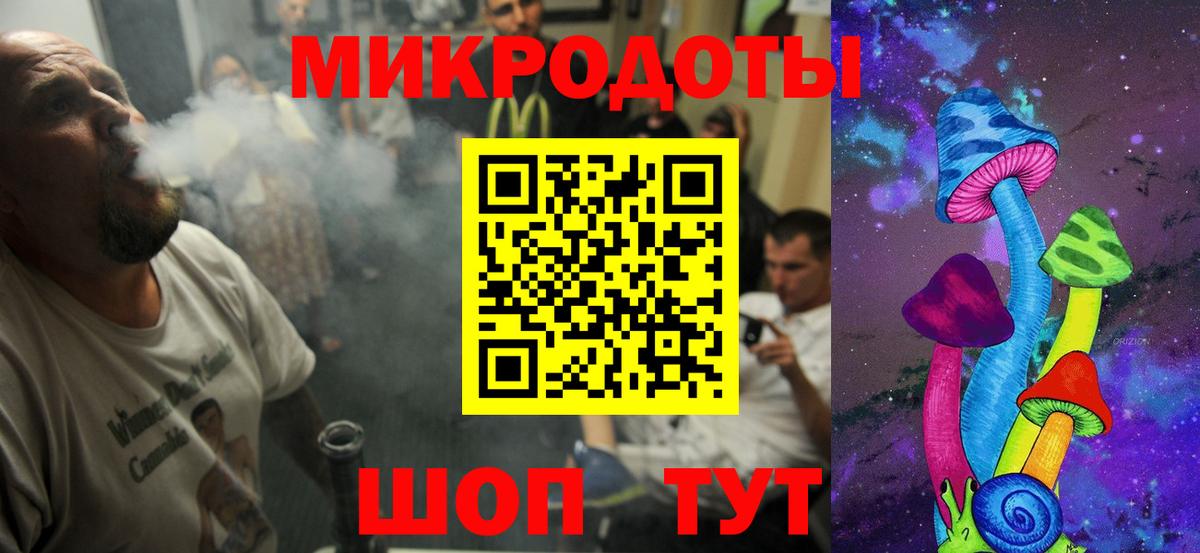 Псилоцибиновые грибы Psilocybe  Вход с VPN  Янаул 
